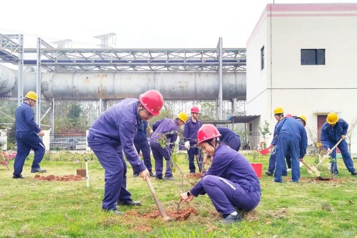 1899996502206496770.jpg 1899996502206496770.jpg